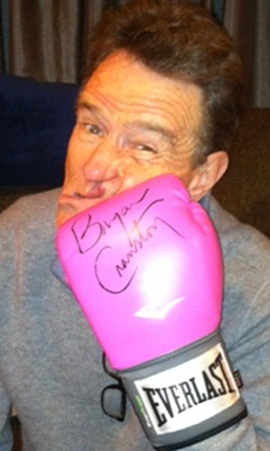 Bryan Cranston and the Cast of All The Way